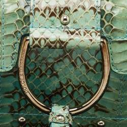 Dolce & Gabbana Green Python Chain Clutch