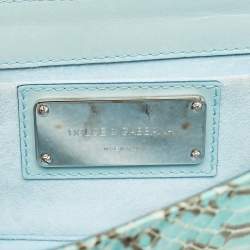 Dolce & Gabbana Green Python Chain Clutch