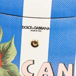 Pre Owned Dolce & Gabbana Multicolor Printed Leather Chain Clutch