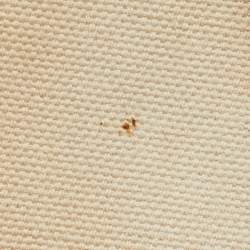 Pre Owned Dolce & Gabbana Beige/Brown Canvas and Leather Miss Pocket Tote