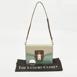 مملوكة مسبقًا حقيبة كتف دولتشي أند غابانا لوسيا جلد ثعبان وجلد تمساح متعدد الألوان 