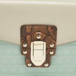 مملوكة مسبقًا حقيبة كتف دولتشي أند غابانا لوسيا جلد ثعبان وجلد تمساح متعدد الألوان 