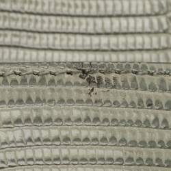 Pre Owned حقيبة كروس بودي دولتشي أند غابانا ميلينيالز أخضر حكيم رمادي منقوشة جلد سحلية