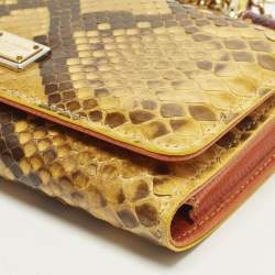 Pre Owned Dolce & Gabbana Sicily Von Yellow/Pink Python Wallet On Chain