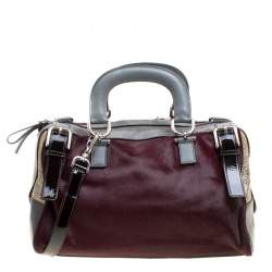 Dolce and Gabbana Multicolor Calfhair/Suede/Leather and Exotic Skin Miss Easy Way Boston Bag
