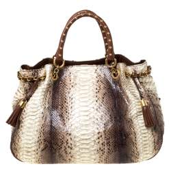 Pre Owned Dolce & Gabbana Brown Python and Leather Hobo