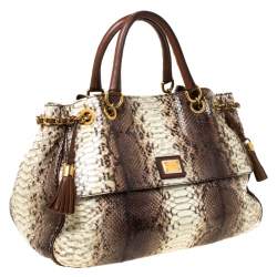 Pre Owned Dolce & Gabbana Brown Python and Leather Hobo