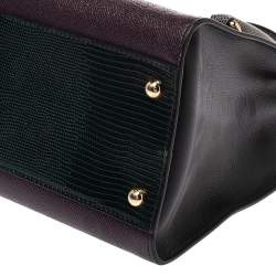 مملوكة مسبقًا Dolce & Gabbana Multicolor Leather and Lizard Embossed Leather Tote