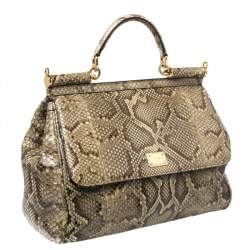 Pre Owned Dolce & Gabbana Brown/Pale Green Python Large Miss Sicily Top Handle Bag