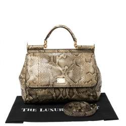Pre Owned Dolce & Gabbana Brown/Pale Green Python Large Miss Sicily Top Handle Bag
