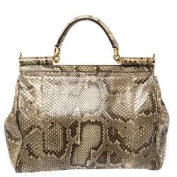Pre Owned Dolce & Gabbana Brown/Pale Green Python Large Miss Sicily Top Handle Bag