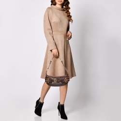 Pre Owned Dolce & Gabbana Brown Leather Buckle Baguette Bag