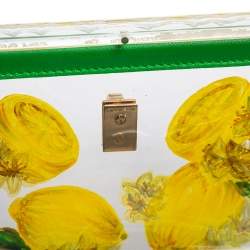 Pre Owned Dolce & Gabbana Green/Yellow Lemon Hand Painted Acrylic and Lizard Box Bag