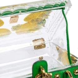 Pre Owned Dolce & Gabbana Green/Yellow Lemon Hand Painted Acrylic and Lizard Box Bag
