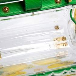 Pre Owned Dolce & Gabbana Green/Yellow Lemon Hand Painted Acrylic and Lizard Box Bag