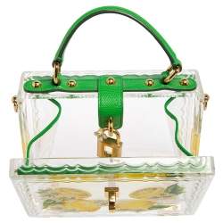 Pre Owned Dolce & Gabbana Green/Yellow Lemon Hand Painted Acrylic and Lizard Box Bag