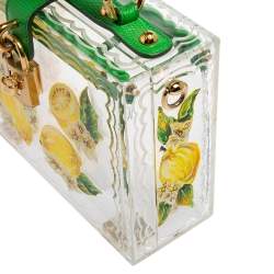Pre Owned Dolce & Gabbana Green/Yellow Lemon Hand Painted Acrylic and Lizard Box Bag
