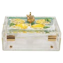 Pre Owned Dolce & Gabbana Green/Yellow Lemon Hand Painted Acrylic and Lizard Box Bag