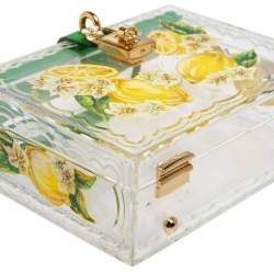 Pre Owned Dolce & Gabbana Green/Yellow Lemon Hand Painted Acrylic and Lizard Box Bag