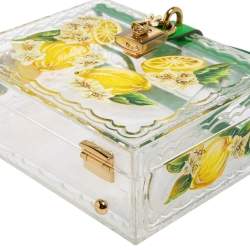 Pre Owned Dolce & Gabbana Green/Yellow Lemon Hand Painted Acrylic and Lizard Box Bag