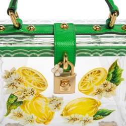 Pre Owned Dolce & Gabbana Green/Yellow Lemon Hand Painted Acrylic and Lizard Box Bag