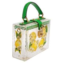 Pre Owned Dolce & Gabbana Green/Yellow Lemon Hand Painted Acrylic and Lizard Box Bag