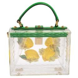 Pre Owned Dolce & Gabbana Green/Yellow Lemon Hand Painted Acrylic and Lizard Box Bag