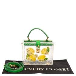 Pre Owned Dolce & Gabbana Green/Yellow Lemon Hand Painted Acrylic and Lizard Box Bag