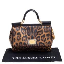 مملوكة مسبقًا حقيبة دولتشي أند غابانا ميس سيسيلي كانفاس مقوى بنقشة الفهد بني / أسود بيد علوية كبيرة