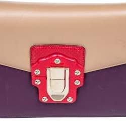 Pre Owned Dolce & Gabbana Multicolor Python And Leather Lucia Shoulder Bag