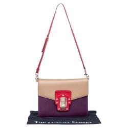 Pre Owned Dolce & Gabbana Multicolor Python And Leather Lucia Shoulder Bag