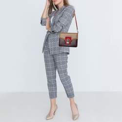 Pre Owned Dolce & Gabbana Multicolor Python And Leather Lucia Shoulder Bag