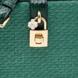 Pre Owned حقيبة صندق دولتشي أند غابانا جلد ثعبان ورافيا خضراء  بقفل