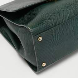 Pre Owned Dolce & Gabbana Green Iguana Embossed Leather Medium Miss Monica Top Handle Bag