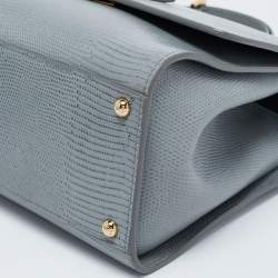 Pre Owned Dolce & Gabbana Grey Lizard Embossed Leather Medium Miss Monica Top Handle Bag