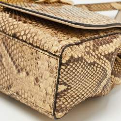 Pre Owned Dolce & Gabbana Cream/Black Python Chain Padlock Shoulder Bag