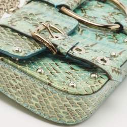 Pre Owned Dolce & Gabbana Green/Blue Python Chain Clutch
