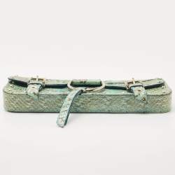 Pre Owned Dolce & Gabbana Green/Blue Python Chain Clutch