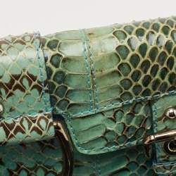 Pre Owned Dolce & Gabbana Green/Blue Python Chain Clutch
