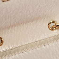 Dolce & Gabbana Light Pink Floral Print Leather Embellished Wifi Bag