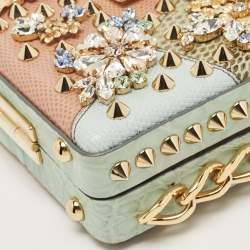 Pre Owned Dolce & Gabbana Multicolor Mixed Exotic Embossed Leather Embellished Dolce Box Clutch Bag