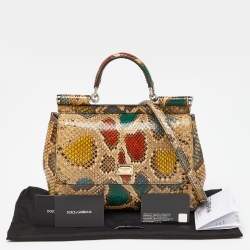 Dolce & Gabbana Multicolor Python Medium Miss Sicily Top Handle Bag