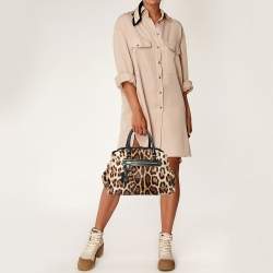 Dolce & Gabbana Brown Leopard Print Calfhair and Leather Frame Satchel
