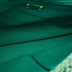 Pre Owned Dolce & Gabbana Green Raffia and Leather Crystals Embellished Padlock Shoulder Bag