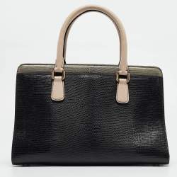 Pre Owned Dolce & Gabbana Tricolor Lizard Embossed Leather and Snakeskin Tote