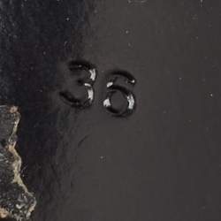 مملوكة مسبقًا Dolce & Gabbana Black Satin Flower and Crystal Embellished Mules Size 36 