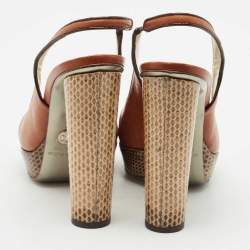 Dolce & Gabbana Brown Leather and Snakeskin Leather Sandals Size 38