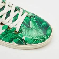 Pre Owned Dolce & Gabbana Green/White Leather Banana Leaf Print Low Top Sneakers Size 40