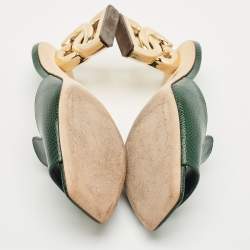 Pre Owned Dolce & Gabbana Green Lizard Embossed Leather Keira Slide Sandals Size 36