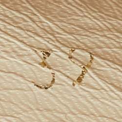 Pre Owned Dolce & Gabbana Multicolor Floral Printed Fabric Platform Espadrille Flats Size 39